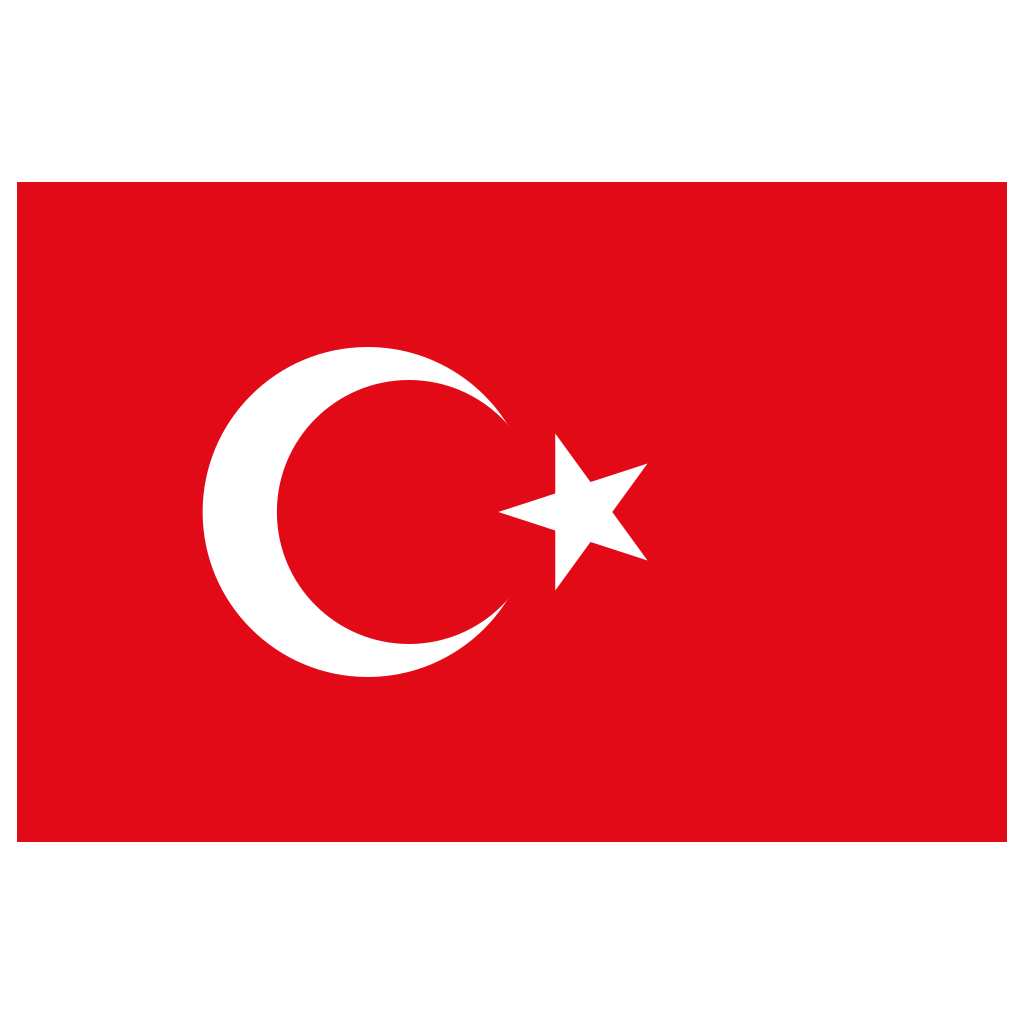 Türkçe
